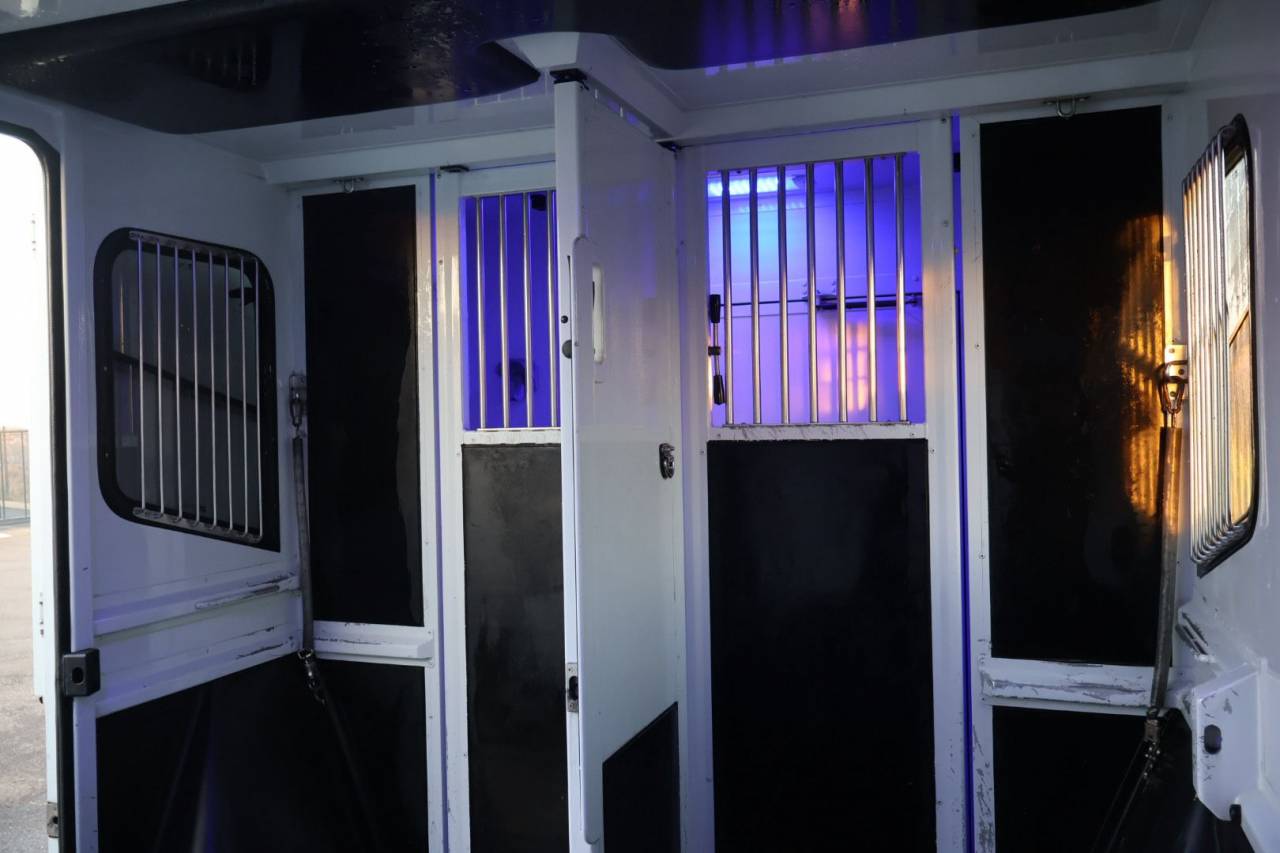 Van per Cavalli MTM FILOVAN MASTER  2018 Occasione