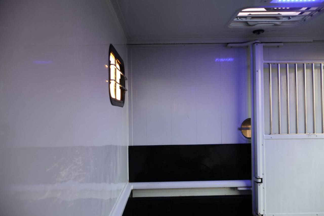 Van per Cavalli MTM FILOVAN MASTER  2018 Occasione