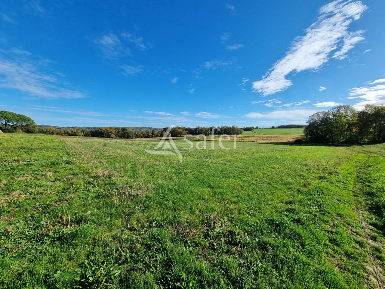 Azienda agricola In vendita Hautes-Pyr&eacute;n&eacute;es