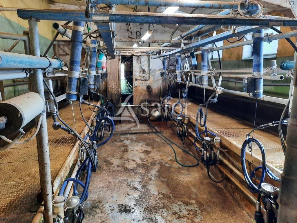 Azienda agricola In vendita Jura