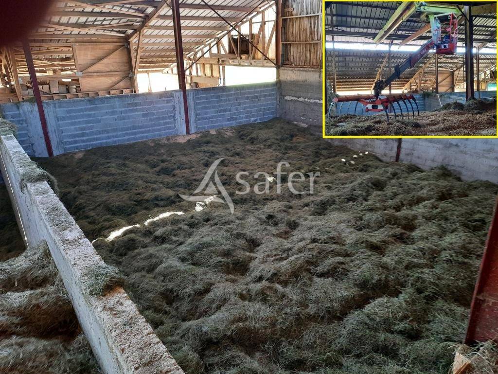 Azienda agricola In vendita Jura