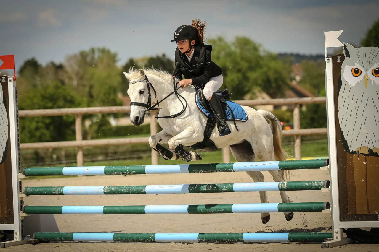 Castrone Welsh Poney (Sezione B) In vendita 2025 Grigio