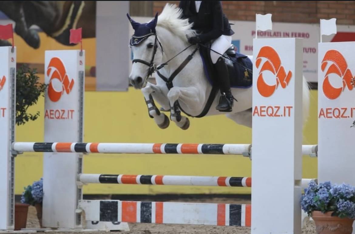 Pony connemara salti ostacoli