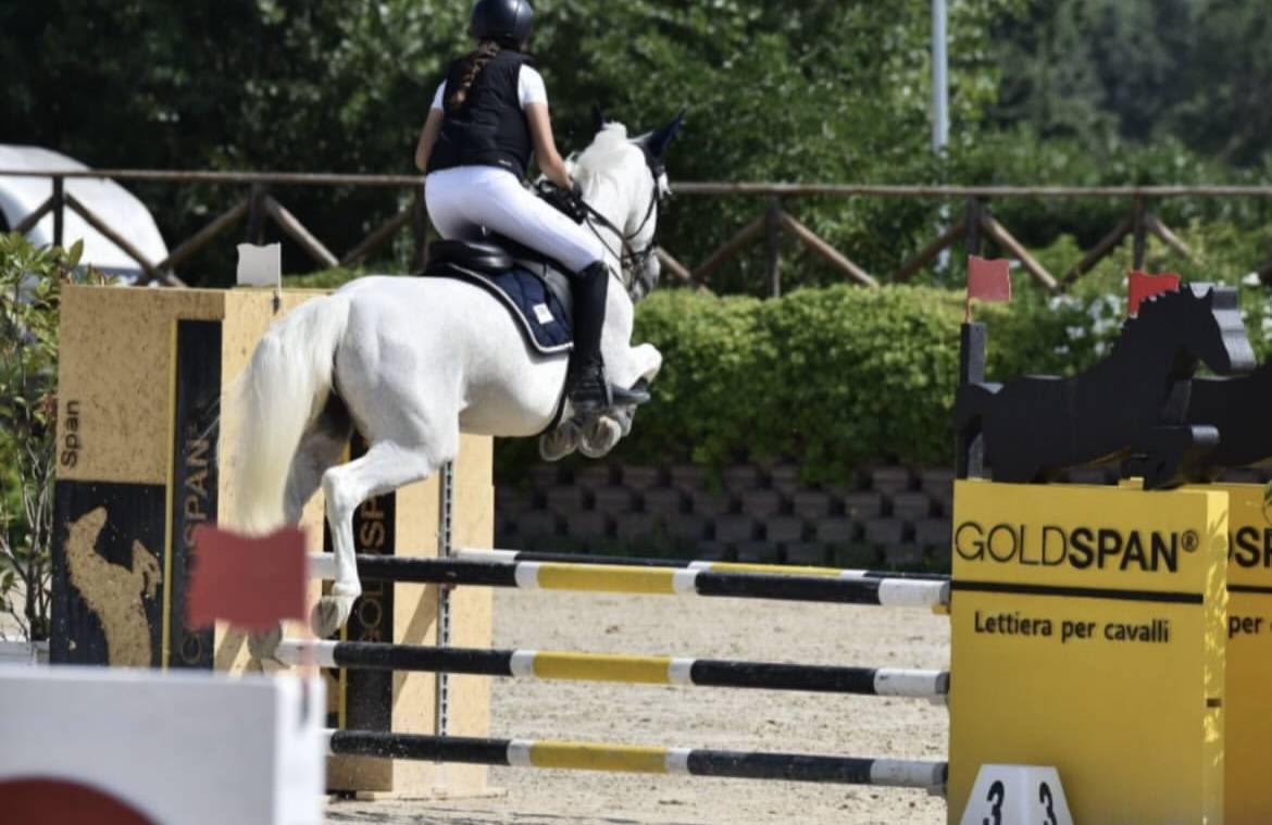 Pony connemara salti ostacoli