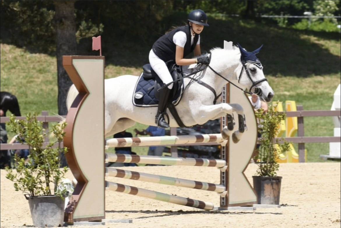 Pony connemara salti ostacoli