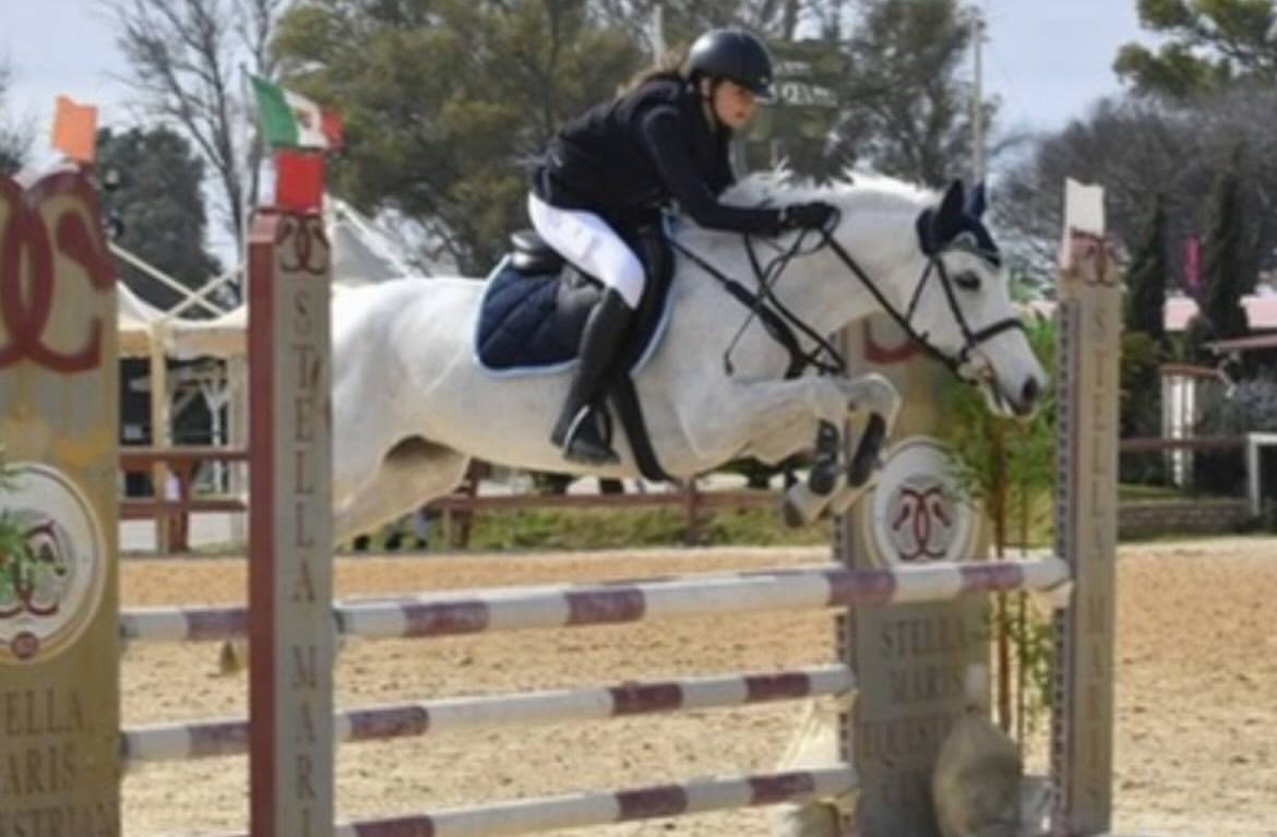 Pony connemara salti ostacoli