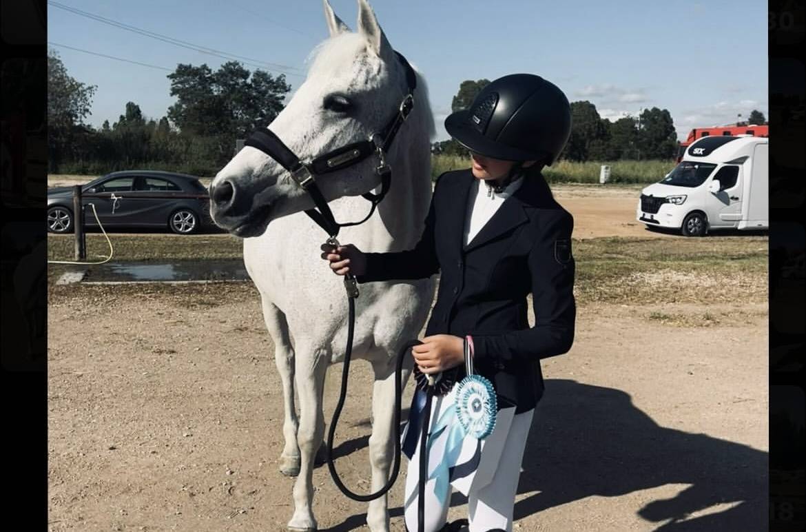 Pony connemara salti ostacoli