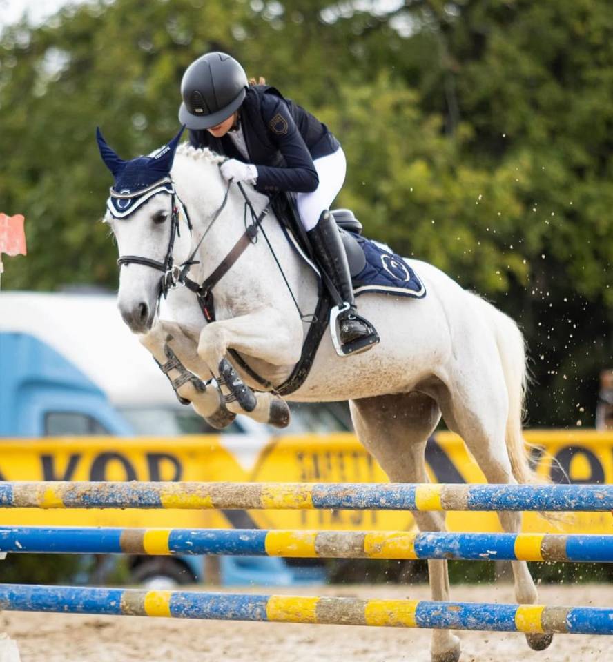 Pony connemara salti ostacoli