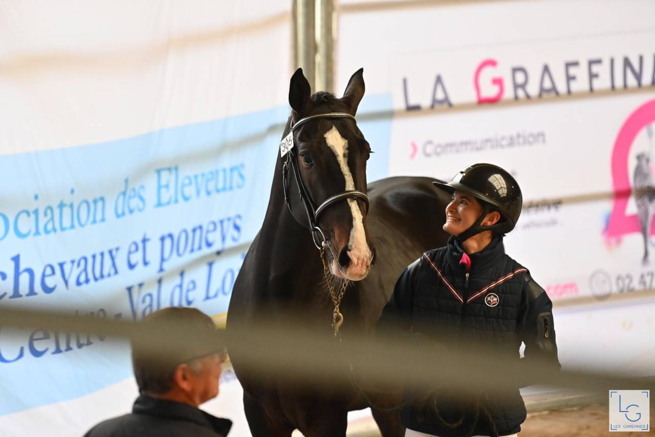 MURDOCK DE L'OZANCE - Sella Francese 2022 ,  CARTIER VD HEFFINCK