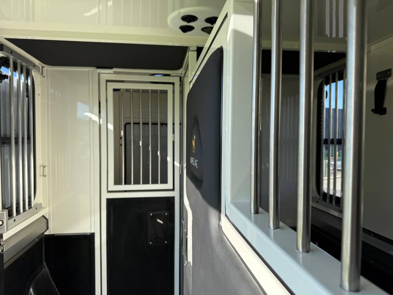 Van per Cavalli Ameline HARAS  2025 Nuovo