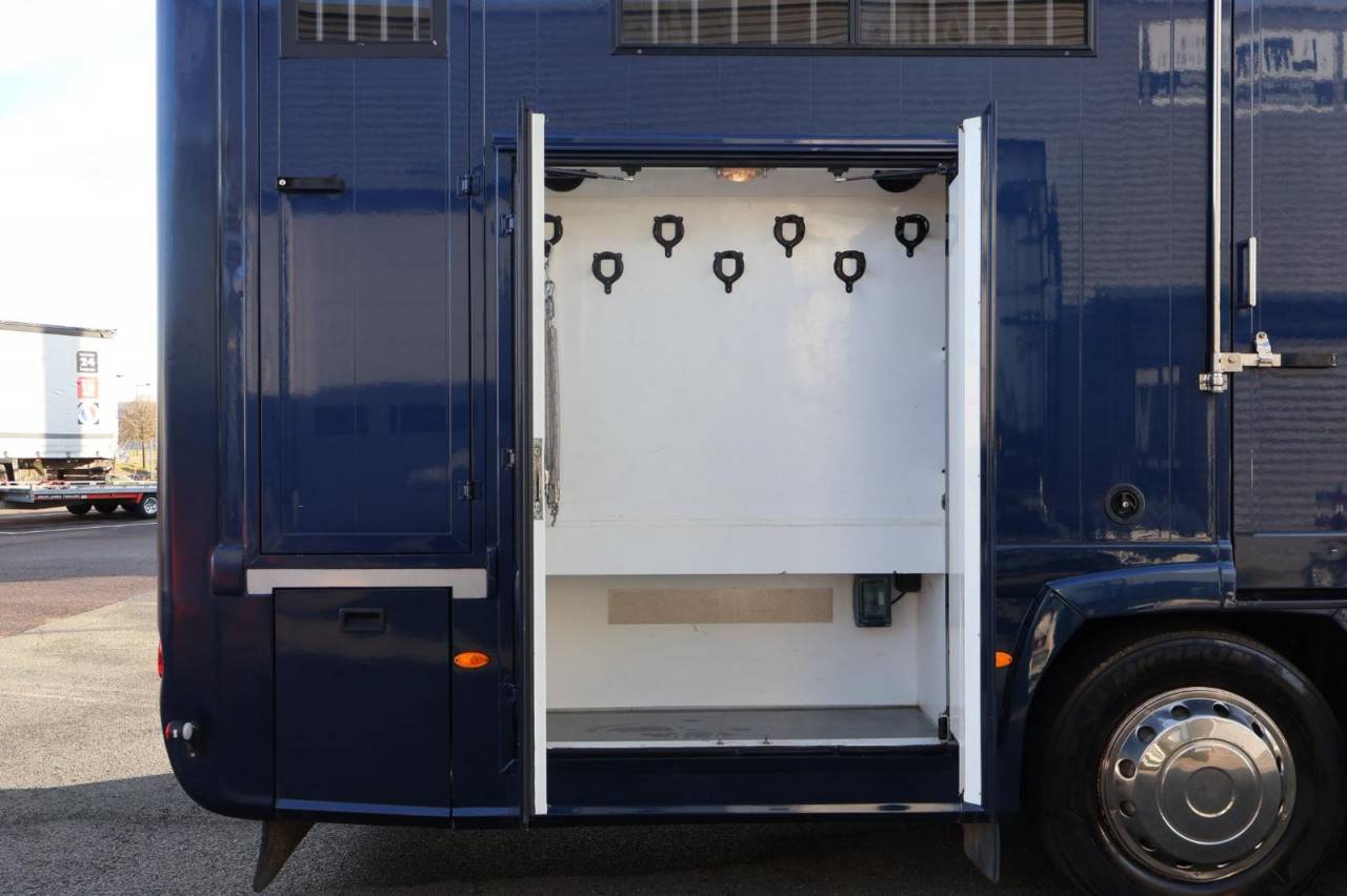 Camion per Cavalli STX STX 6 CHEVAUX MEGA POP OUT 2011 Occasione