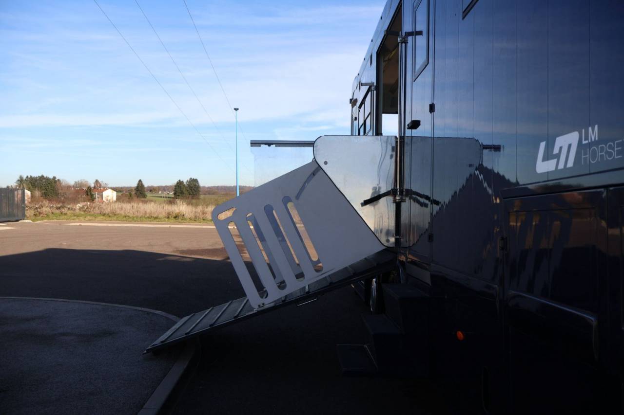 Camion per Cavalli STX STX 6 CHEVAUX MEGA POP OUT 2011 Occasione