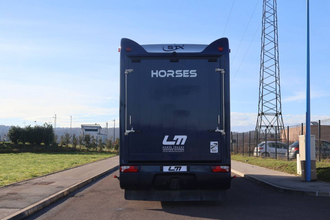 Camion per Cavalli STX STX 6 CHEVAUX MEGA POP OUT 2011 Occasione