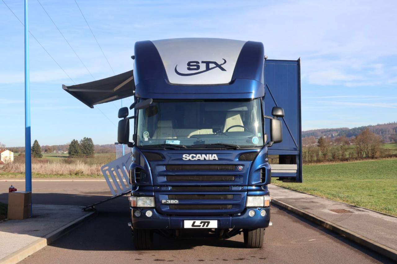 Camion per Cavalli STX STX 6 CHEVAUX MEGA POP OUT 2011 Occasione