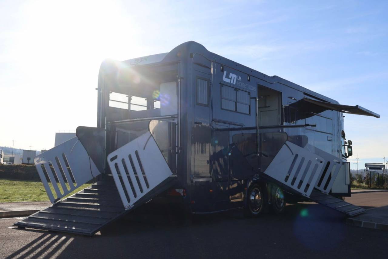 Camion per Cavalli STX STX 6 CHEVAUX MEGA POP OUT 2011 Occasione