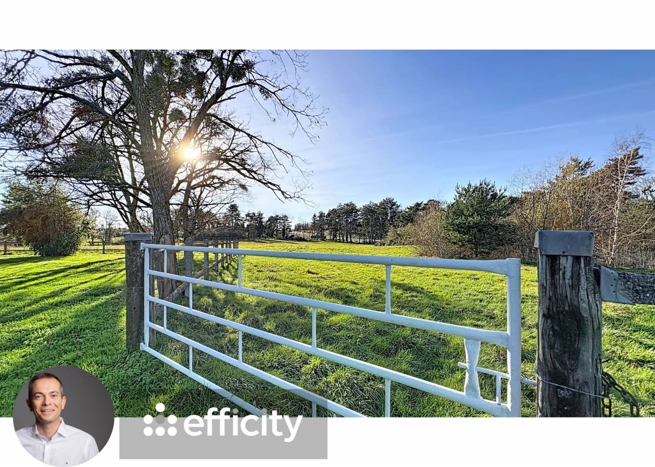 Bella dimora equestre In vendita Allier