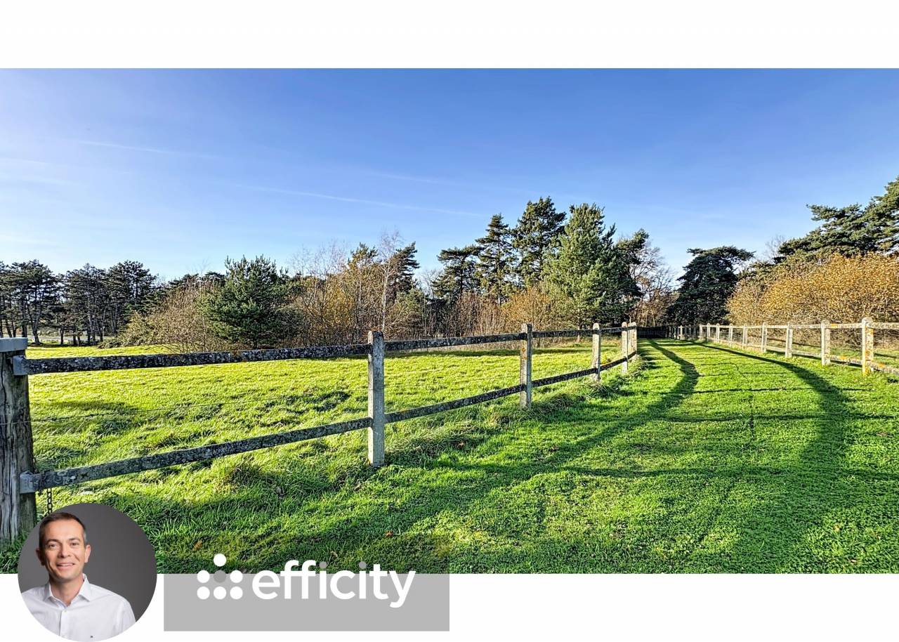 Bella dimora equestre In vendita Allier