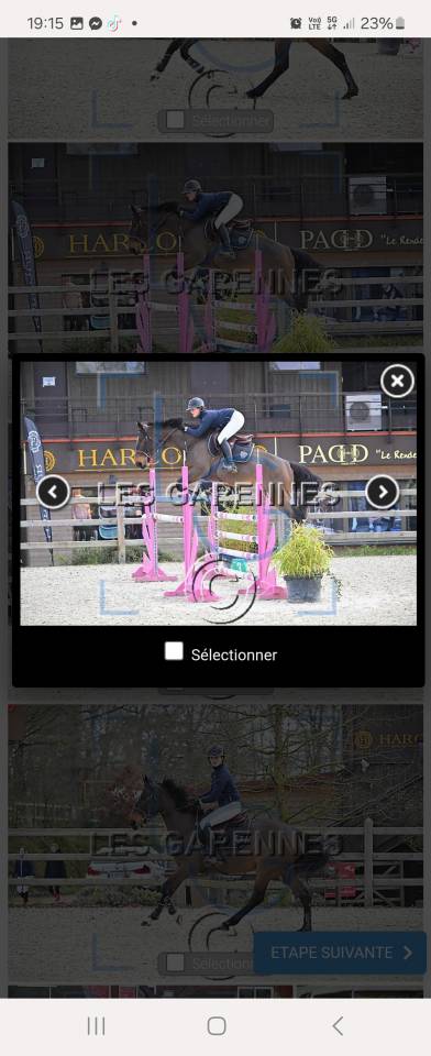 Cavalla Sella Francese In vendita 2020 Baio ,  Dexter de Kerglenn