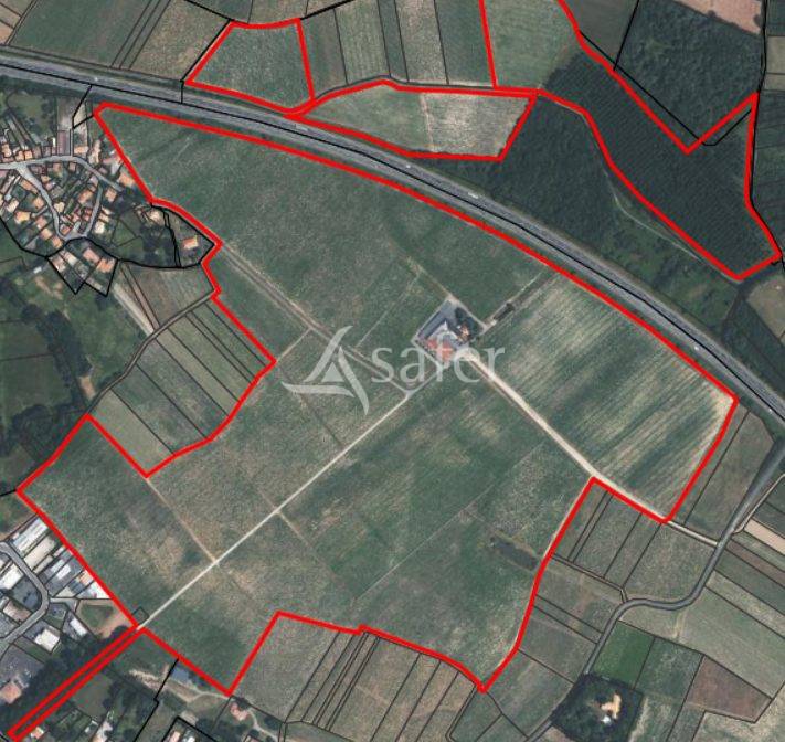 Azienda viticola / Vigneto In vendita Loire-Atlantique