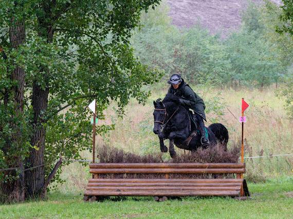 Blackjack BLackfame - Purosangue Arabo 2010 ,  Ka Noon Rej