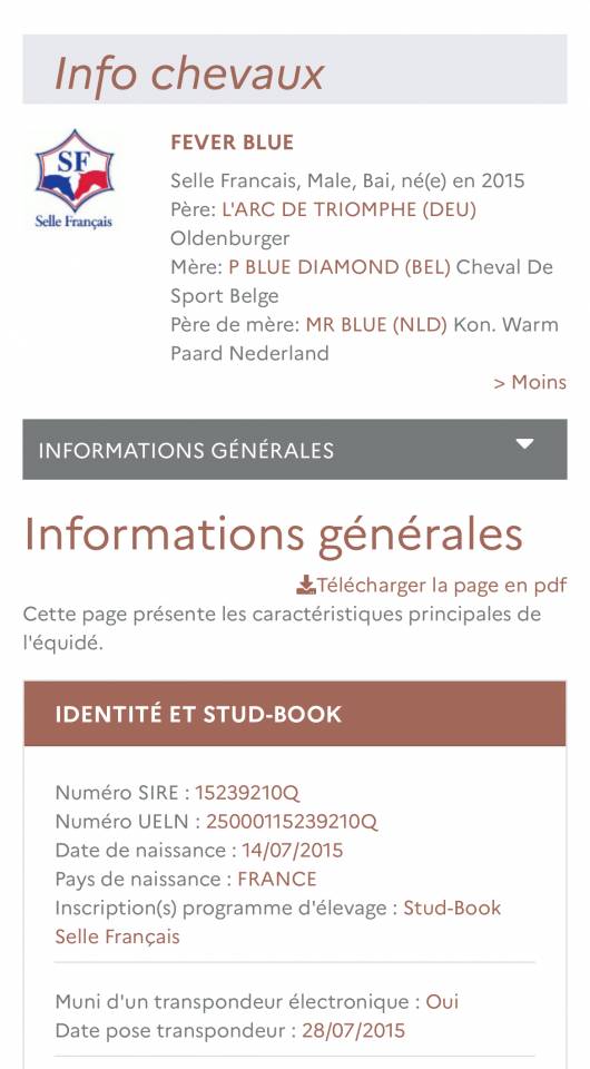 Castrone Sella Francese In vendita 2015 Baio ,  L&rsquo;arc de triomphe