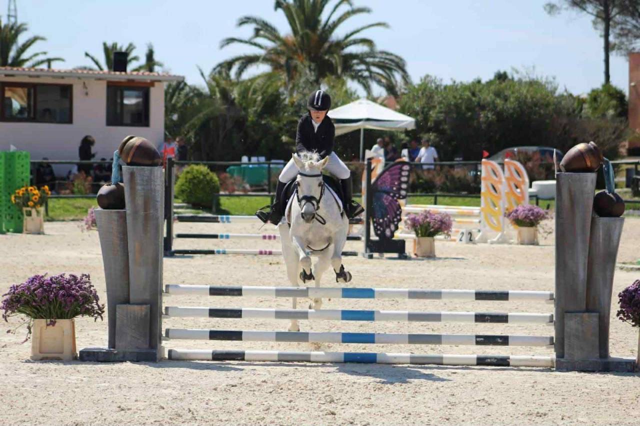 ?⭐️ Pony Connemara vincente ⭐️?