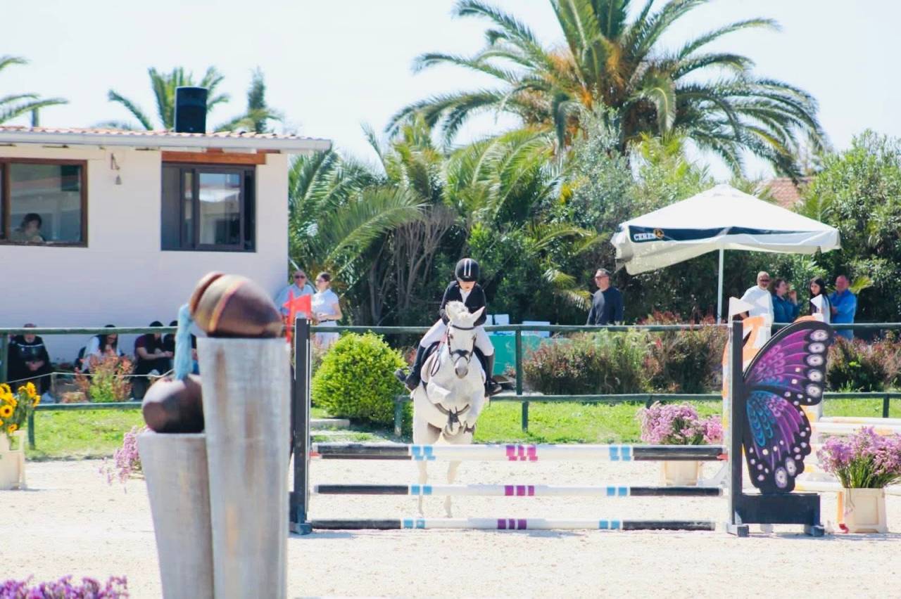 ?⭐️ Pony Connemara vincente ⭐️?