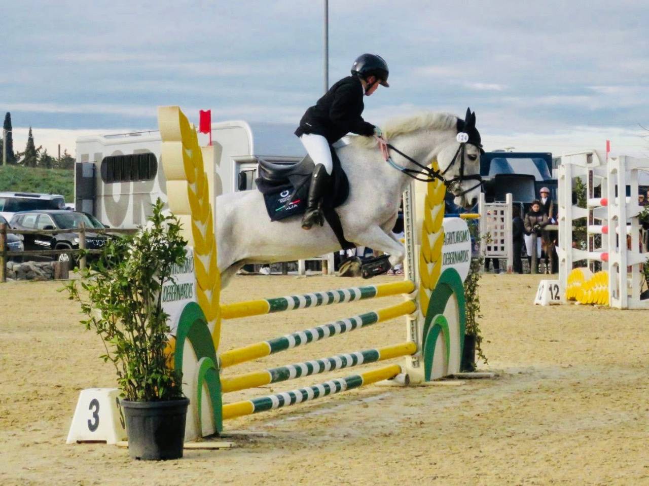 ?⭐️ Pony Connemara vincente ⭐️?