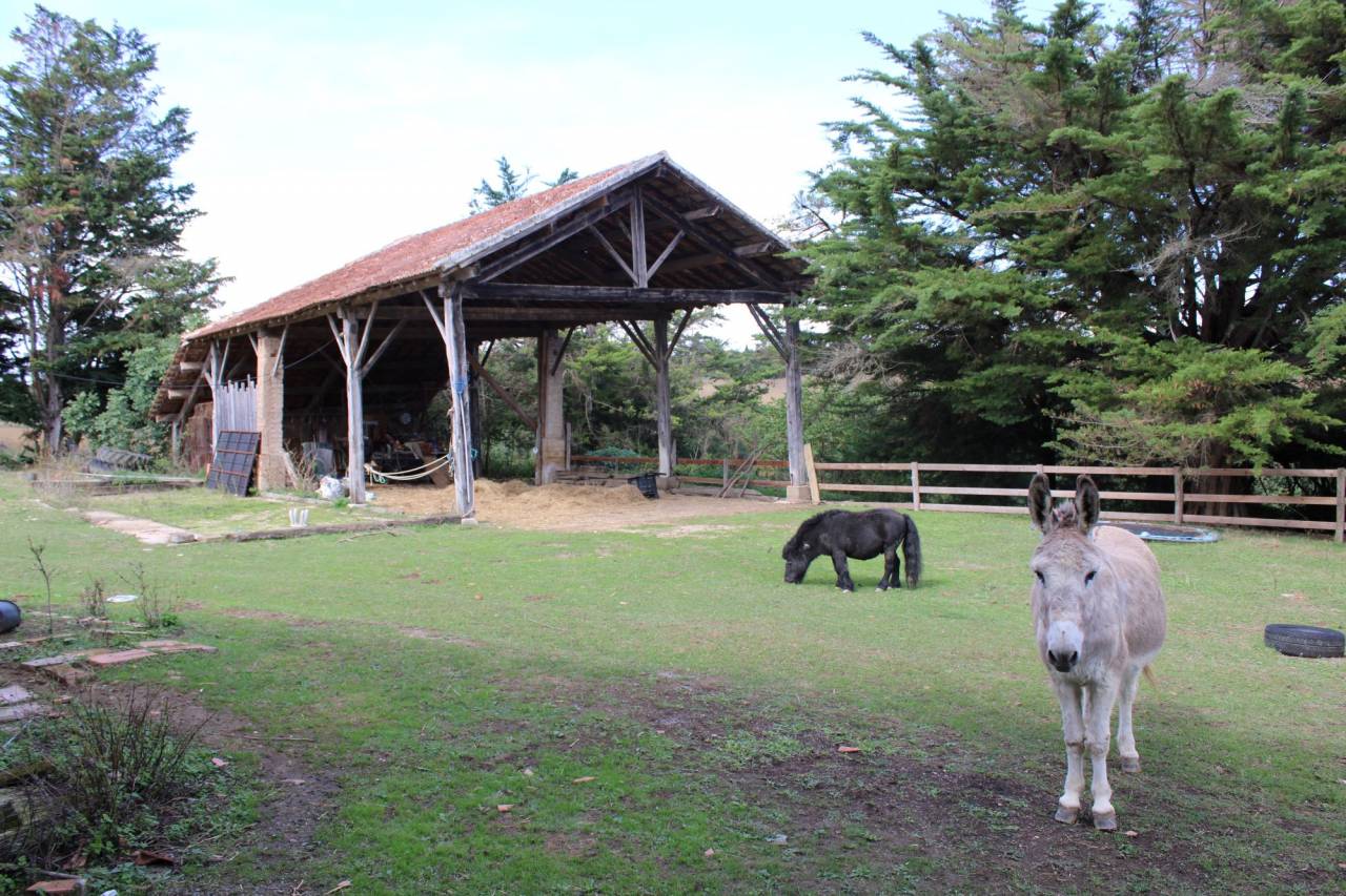 Azienda equestre In vendita Gers
