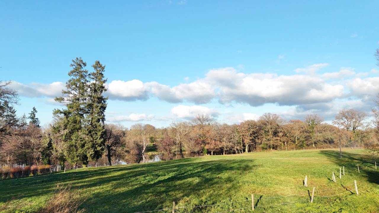 Bella dimora equestre In vendita Creuse