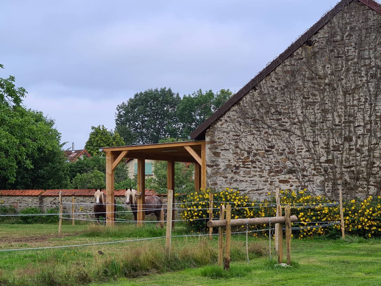 Bella dimora equestre In vendita Creuse