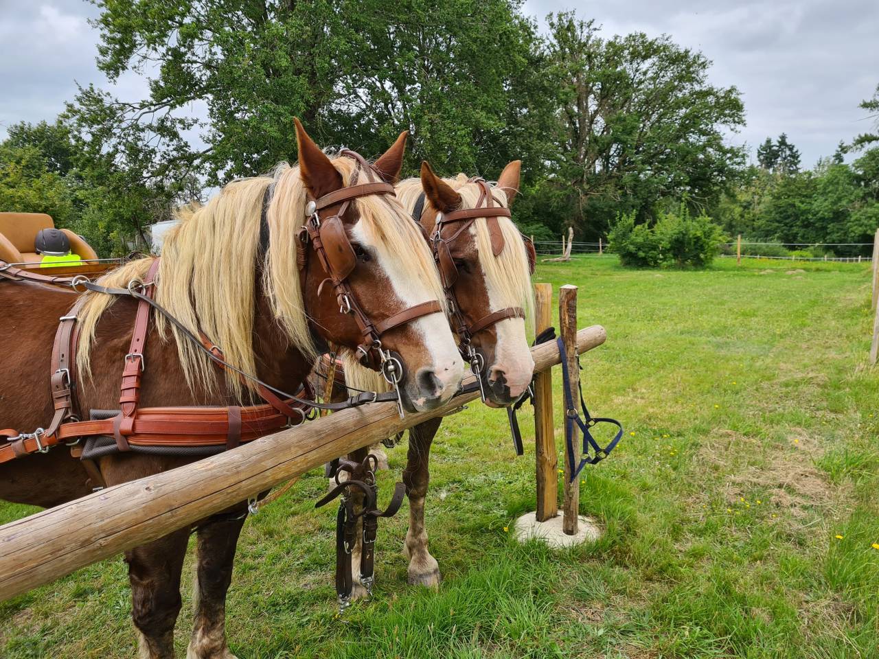 Bella dimora equestre In vendita Creuse