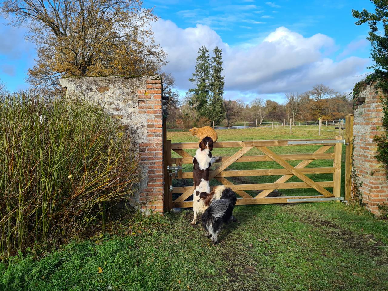 Bella dimora equestre In vendita Creuse