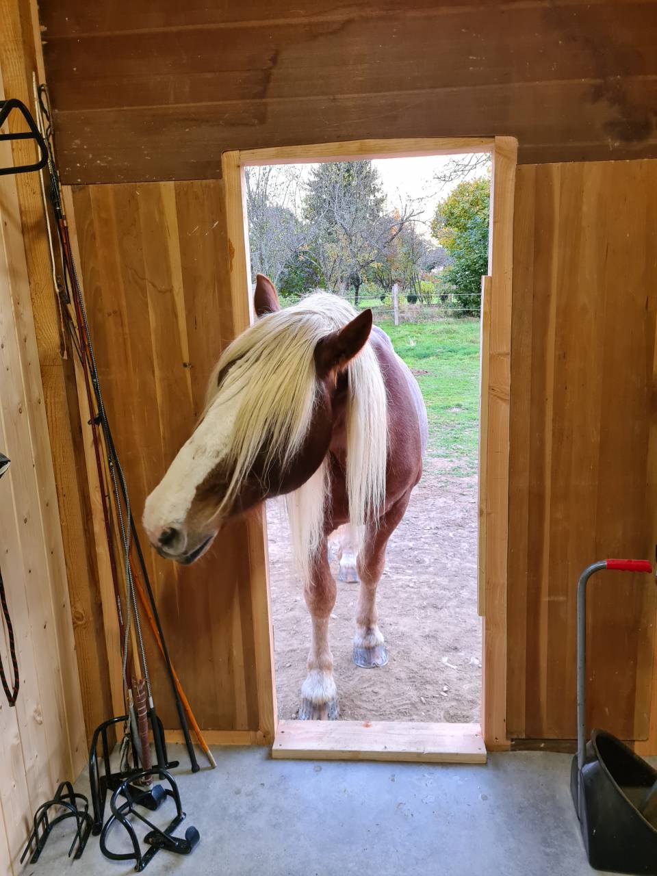 Bella dimora equestre In vendita Creuse