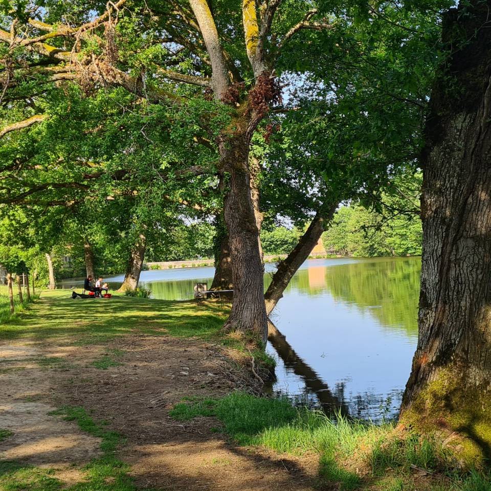 Bella dimora equestre In vendita Creuse