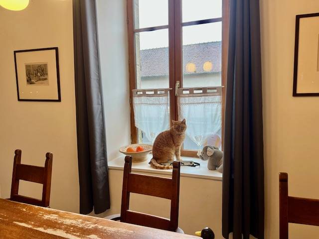 Bella dimora equestre In vendita Creuse