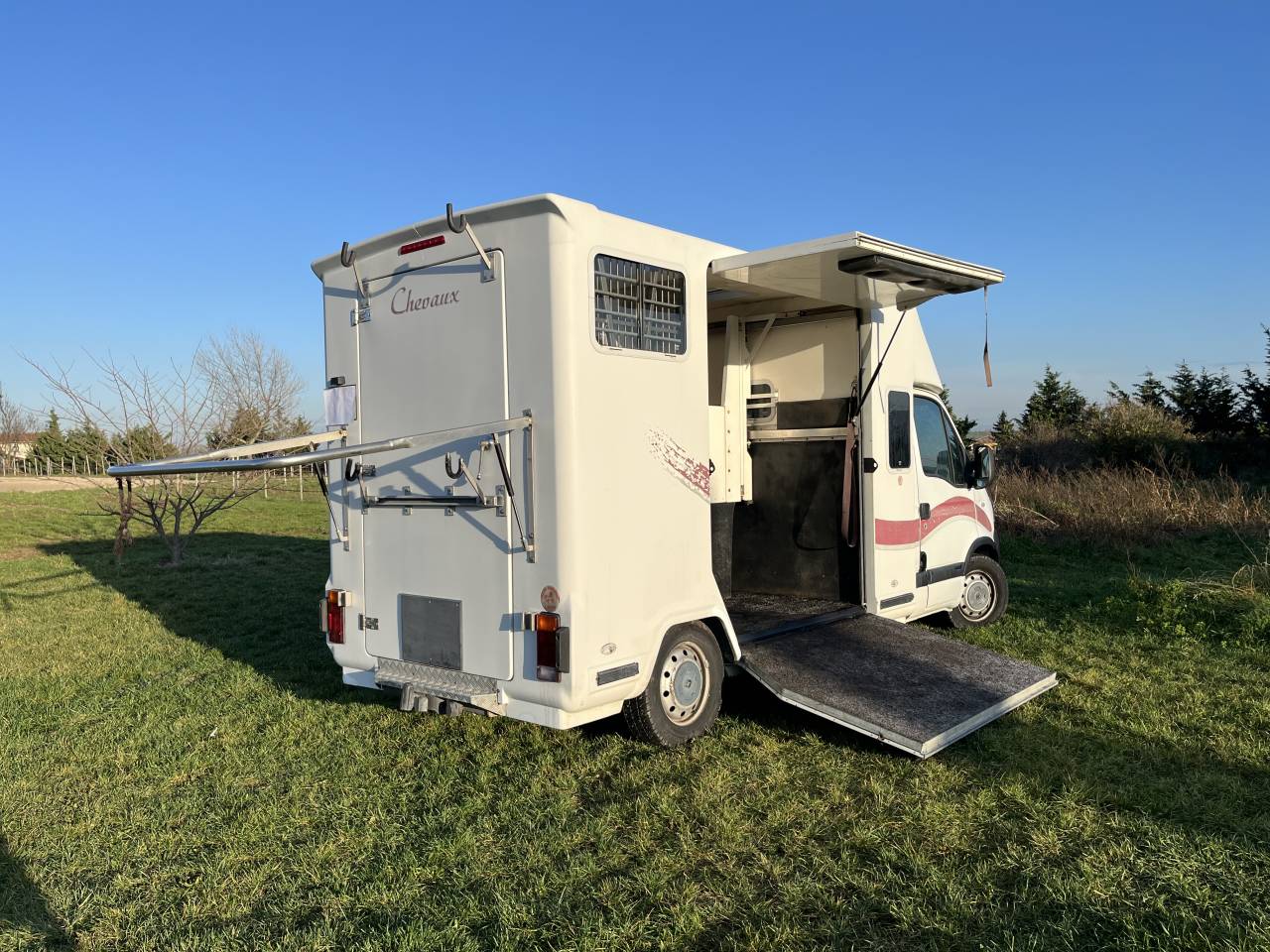 Van per Cavalli Barbot EDCSK6 2006 Occasione