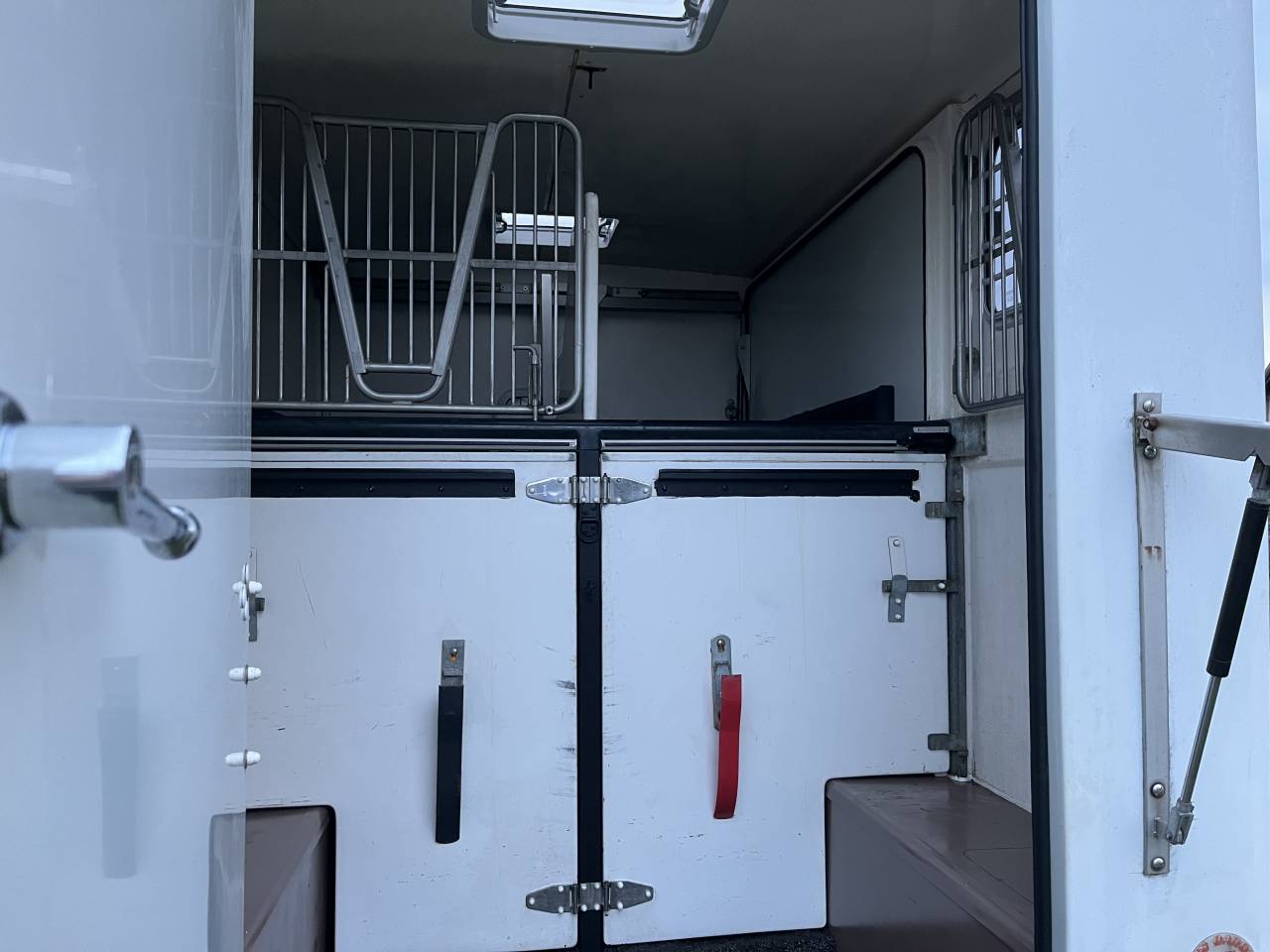 Van per Cavalli Barbot EDCSK6 2006 Occasione