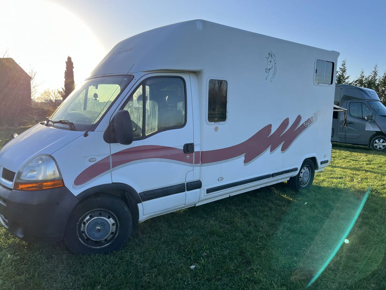 Van per Cavalli Barbot EDCSK6 2006 Occasione