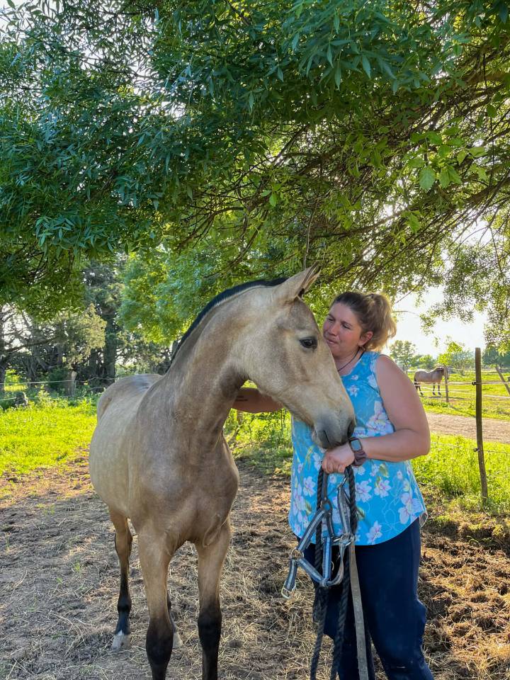 Cavalla PRE Andaluso In vendita 2024 Isabella