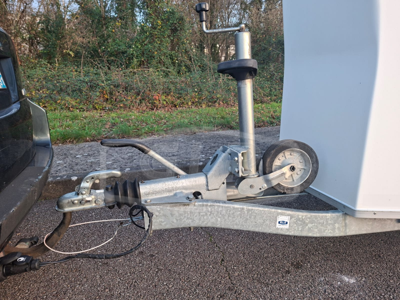 Trailer Cheval Libert&eacute; Gold One White Line 1,5 Cavalli 2019 Occasione