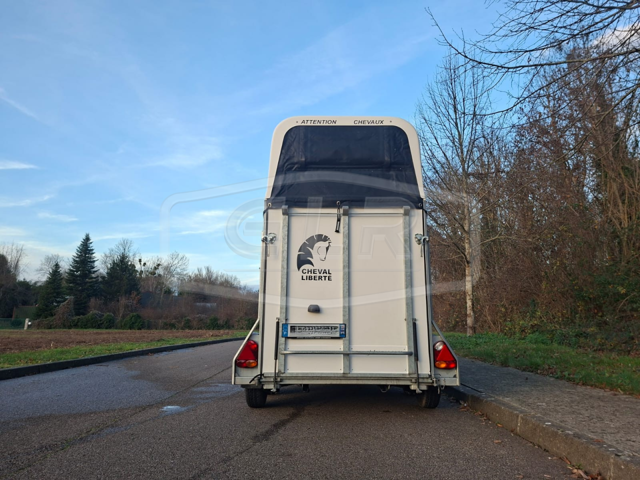 Trailer Cheval Libert&eacute; Gold One White Line 1,5 Cavalli 2019 Occasione