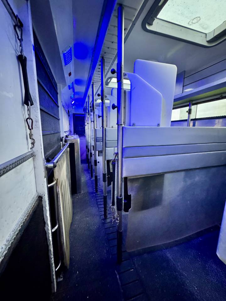 Camion per Cavalli Scania P380 2010 Occasione