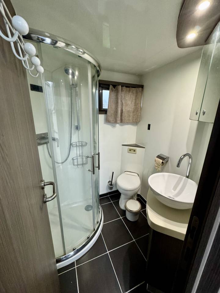 Camion per Cavalli Scania P380 2010 Occasione