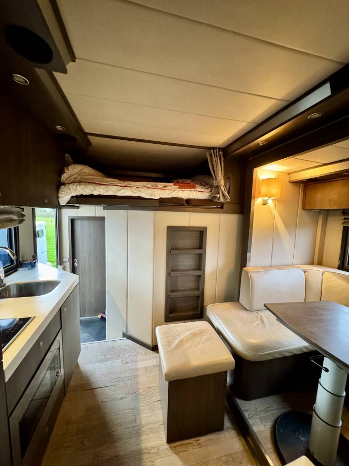 Camion per Cavalli Scania P380 2010 Occasione