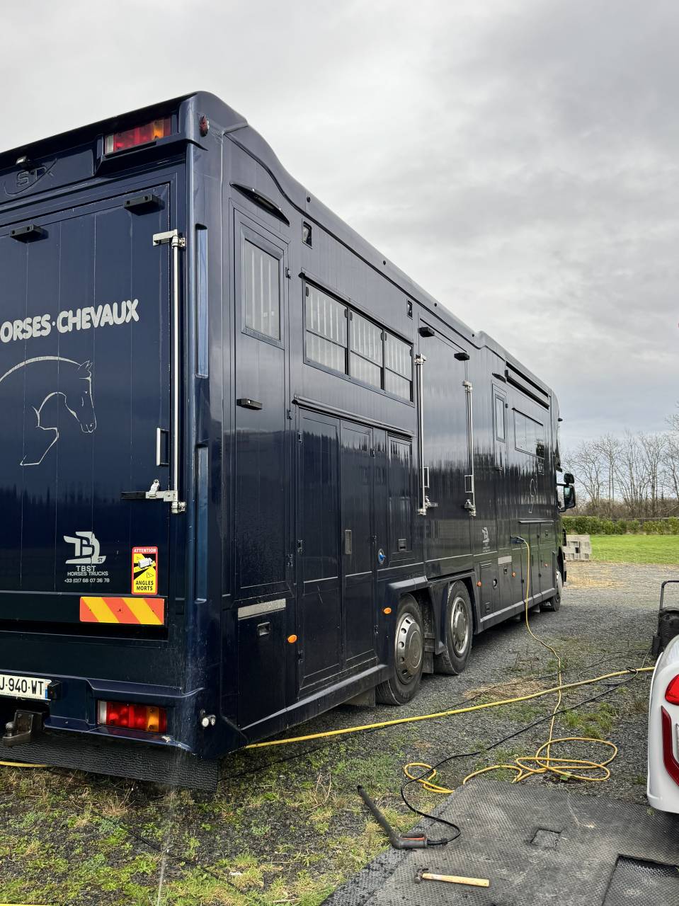 Camion per Cavalli Scania P380 2010 Occasione