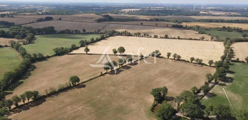 Azienda ovina In vendita Vienne