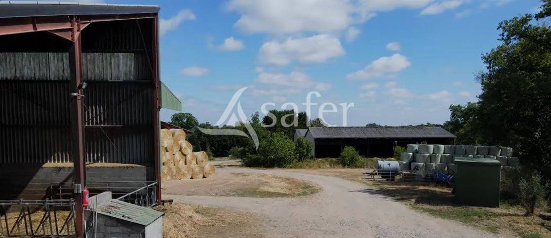 Azienda ovina In vendita Vienne