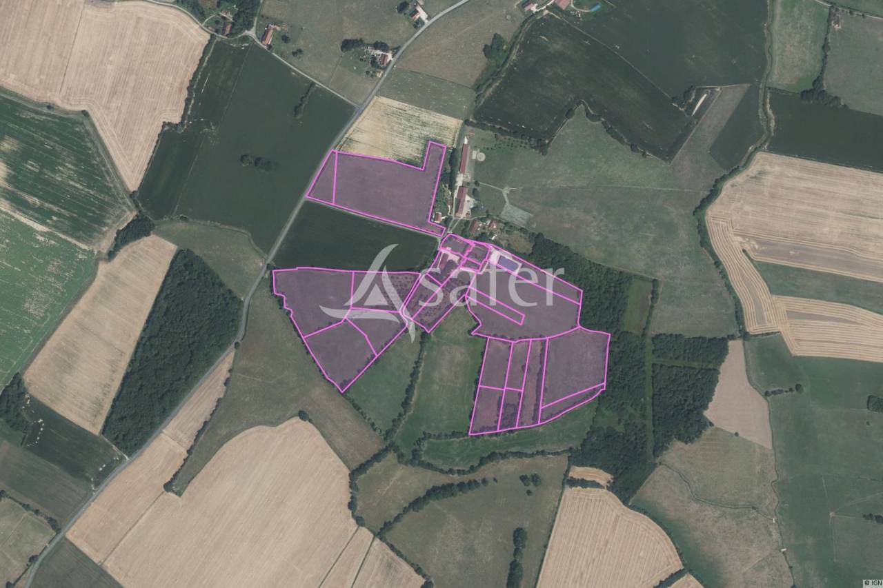 Azienda agricola In vendita Jura