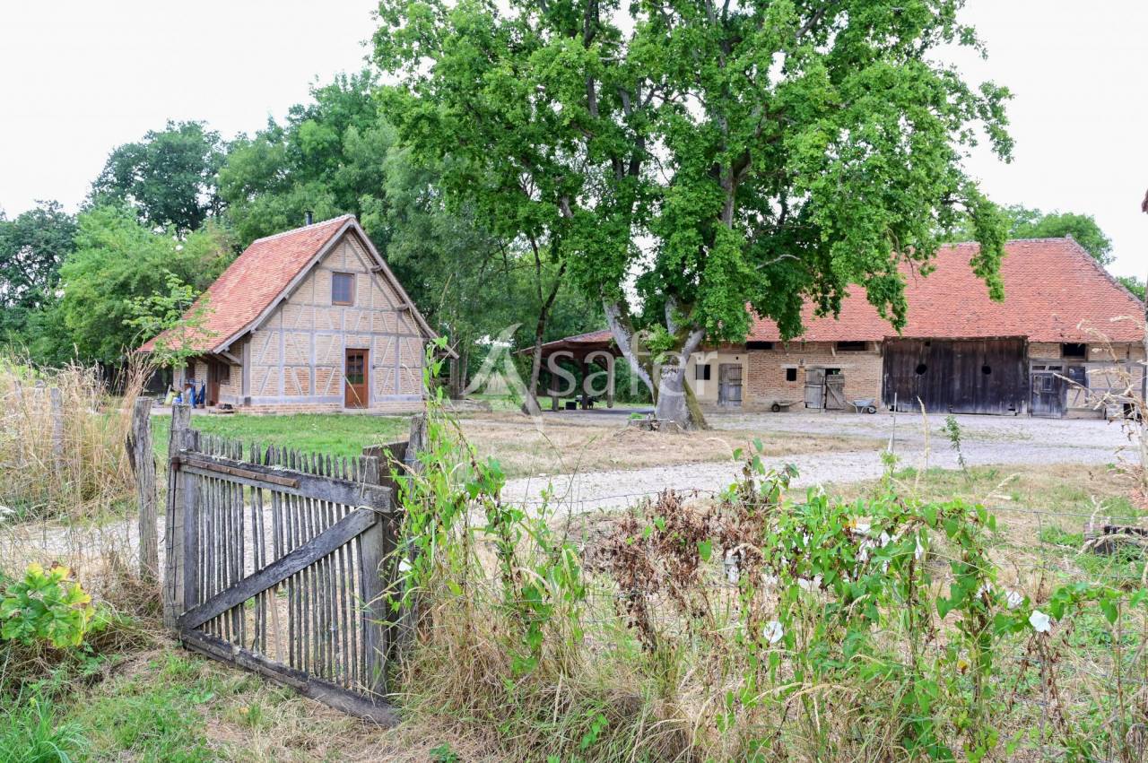 Azienda agricola In vendita Jura